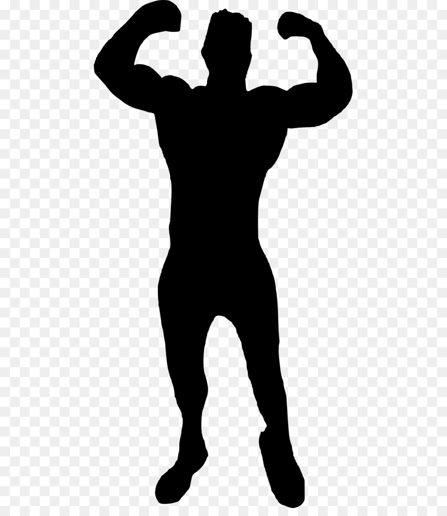 Silhouette Muscle Arm Clip art - bodybuilding png download - 521*1024 - Free Transparent Silhouette png Download.