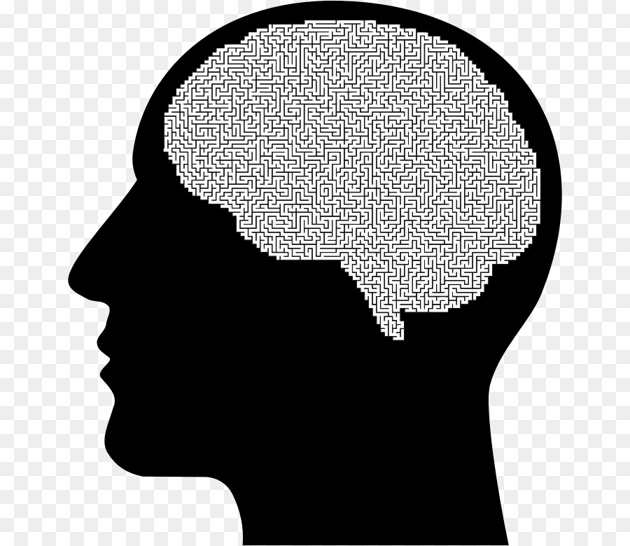 The Female Brain Human head Human brain - Brain png download - 706*780 - Free Transparent Brain png Download.