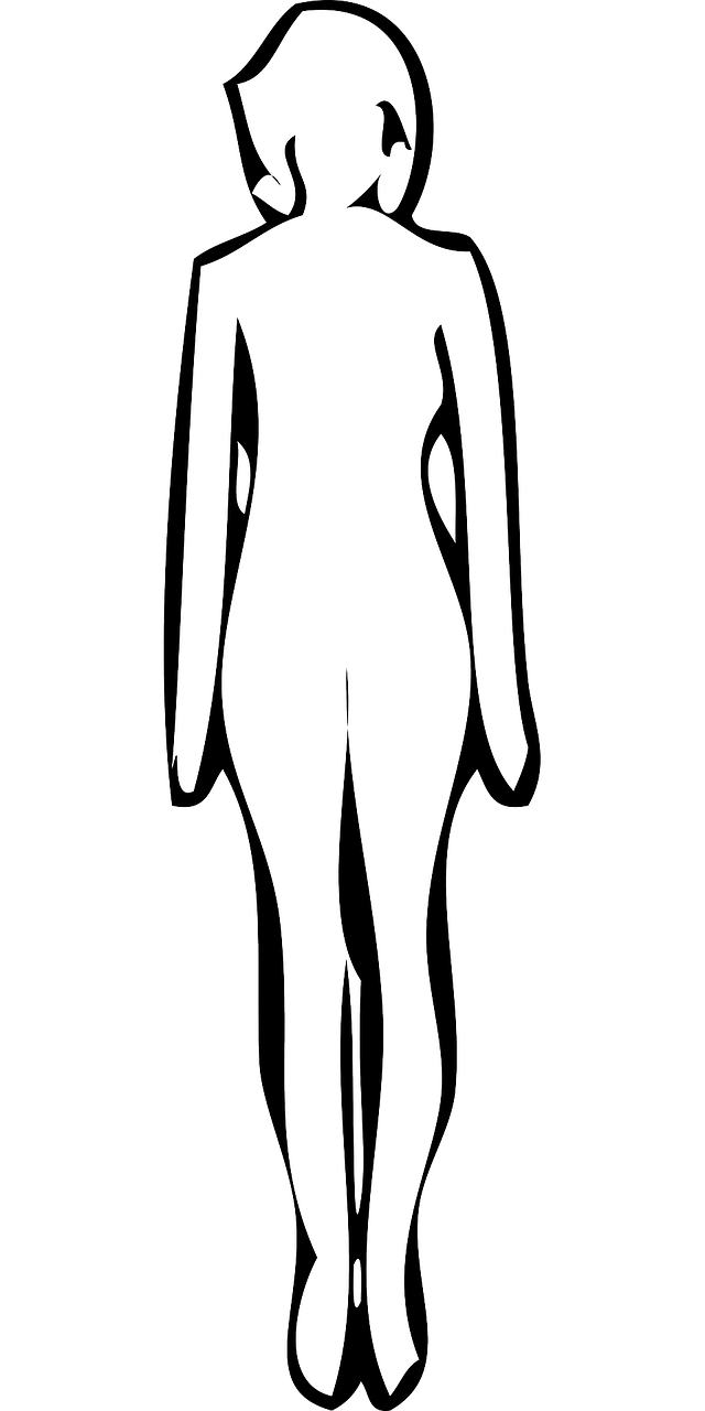 Silhouette Woman Line art Clip art - Silhouette png download - 640*1280