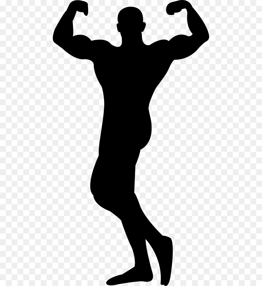 Female bodybuilding Silhouette Clip art - bodybuilding png download - 538*980 - Free Transparent Bodybuilding png Download.