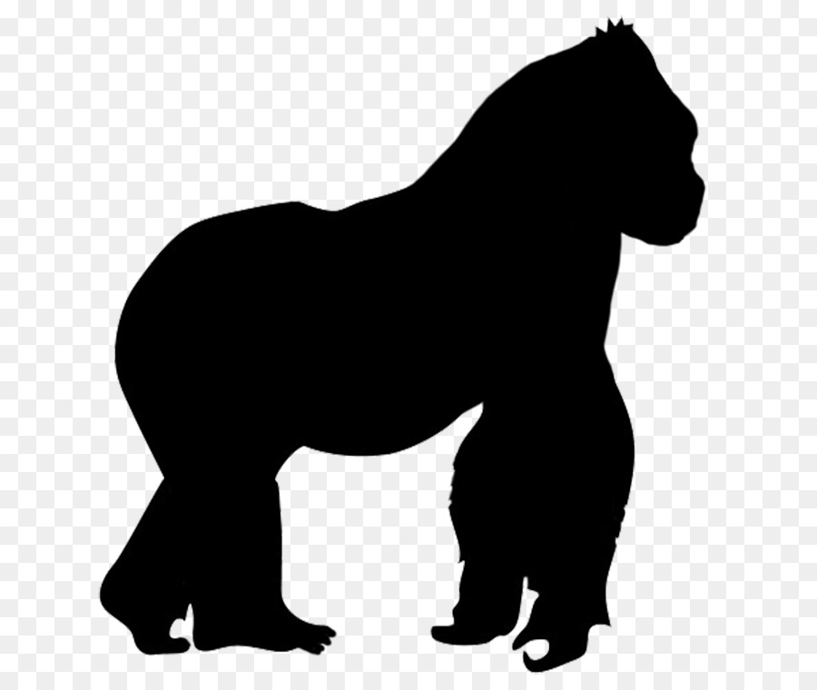 Gorilla Silhouette Clip art - ferret png download - 709*751 - Free Transparent Gorilla png Download.