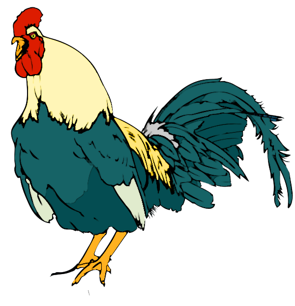 Rooster Chicken Clip art - rooster png download - 600*623 - Free