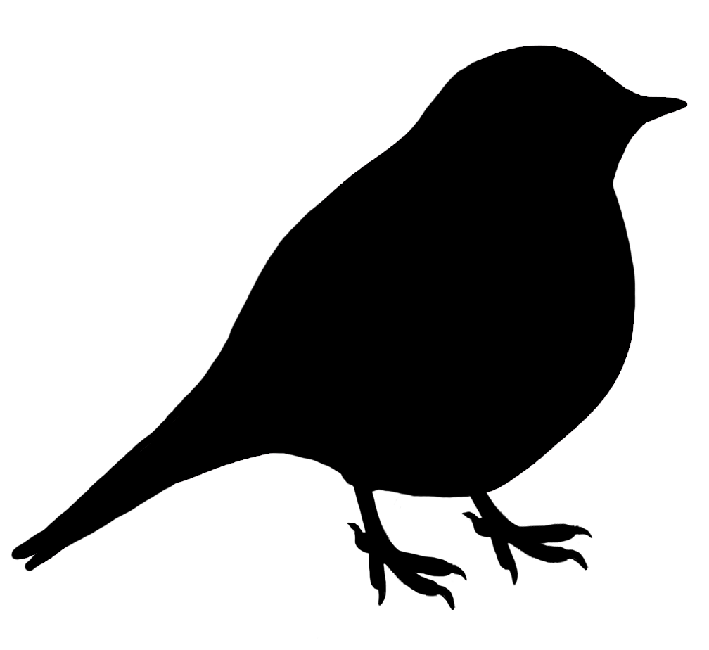 bird-silhouette-gulls-clip-art-sillhouette-png-download-1008-924