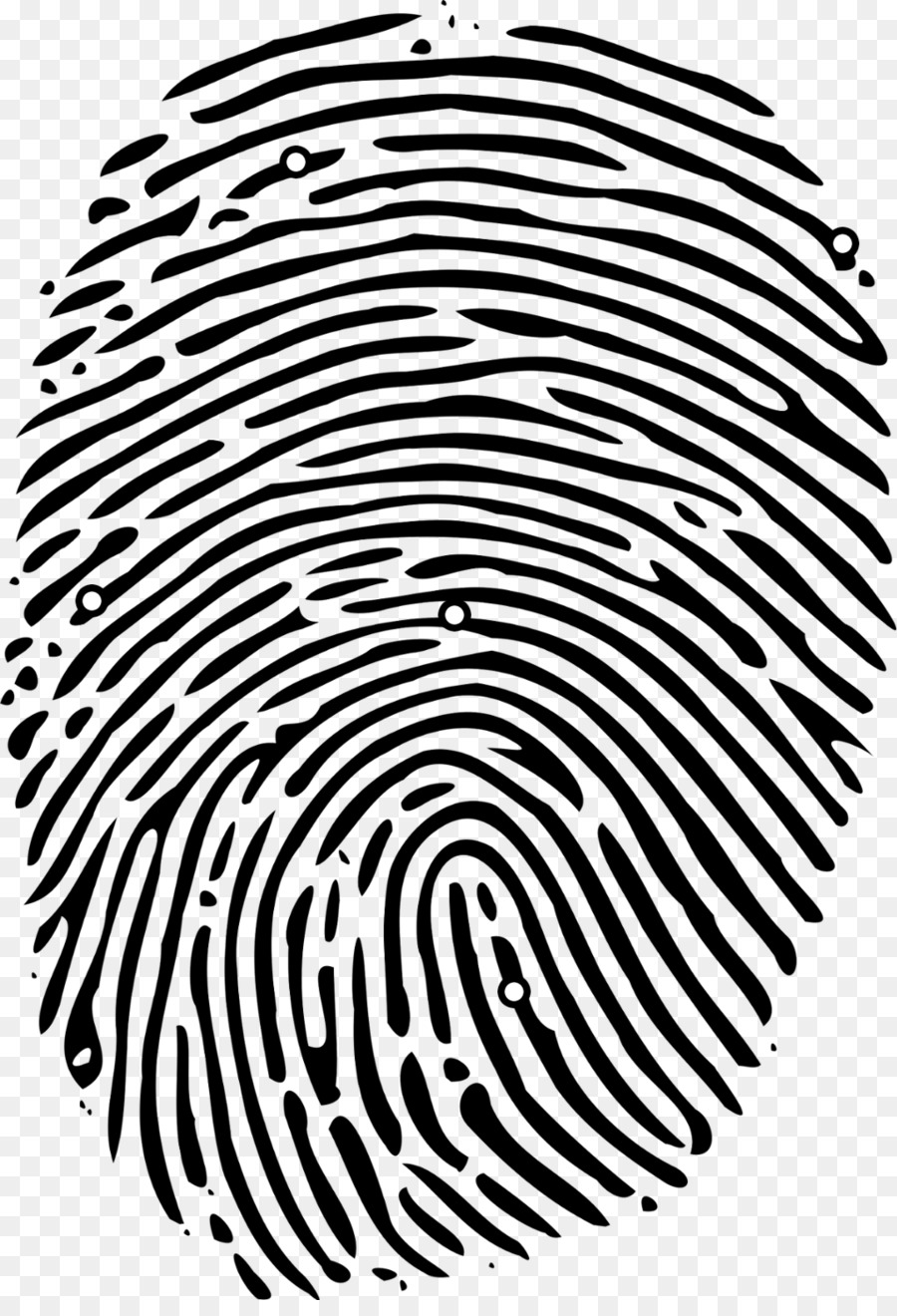 Fingerprint Computer Icons - loop vector png download - 1024*1484 - Free Transparent Fingerprint png Download.