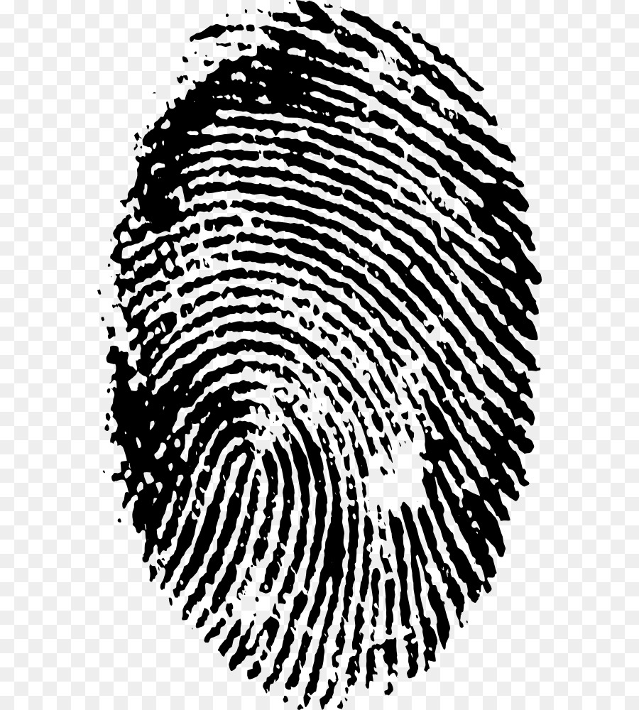 Fingerprint Spiral - finger print png download - 626*1000 - Free Transparent Fingerprint png Download.