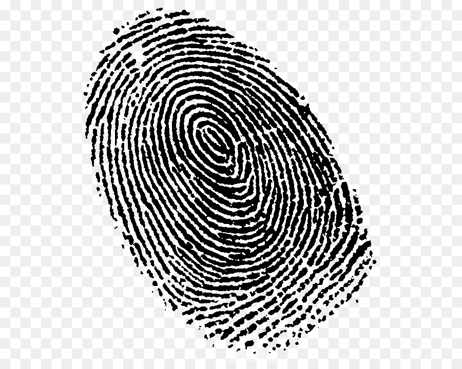Fingerprint Live scan Lawyer Crime - others png download - 604*706 - Free Transparent Fingerprint png Download.