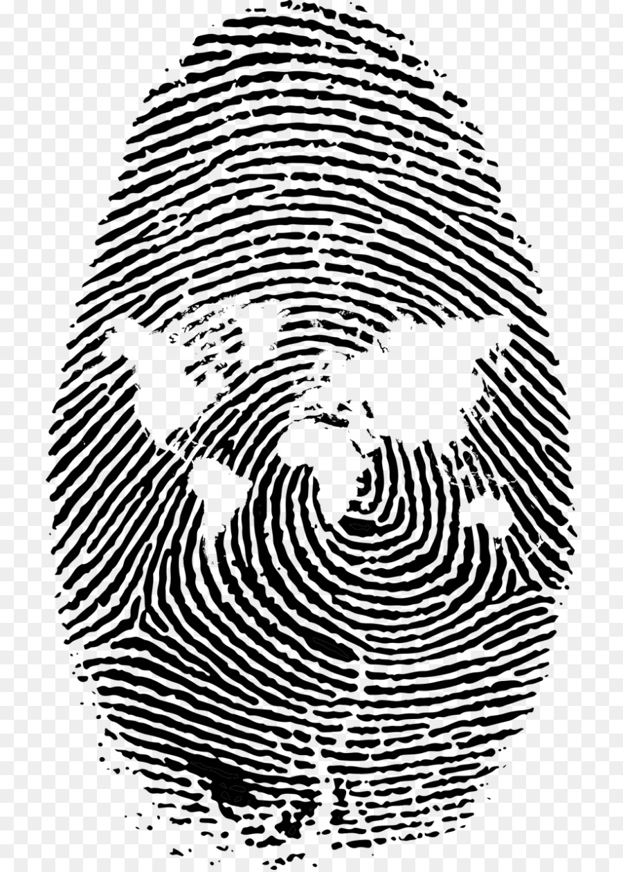 Fingerprint Thumb Clip art - finger print png download - 768*1257 - Free Transparent Fingerprint png Download.