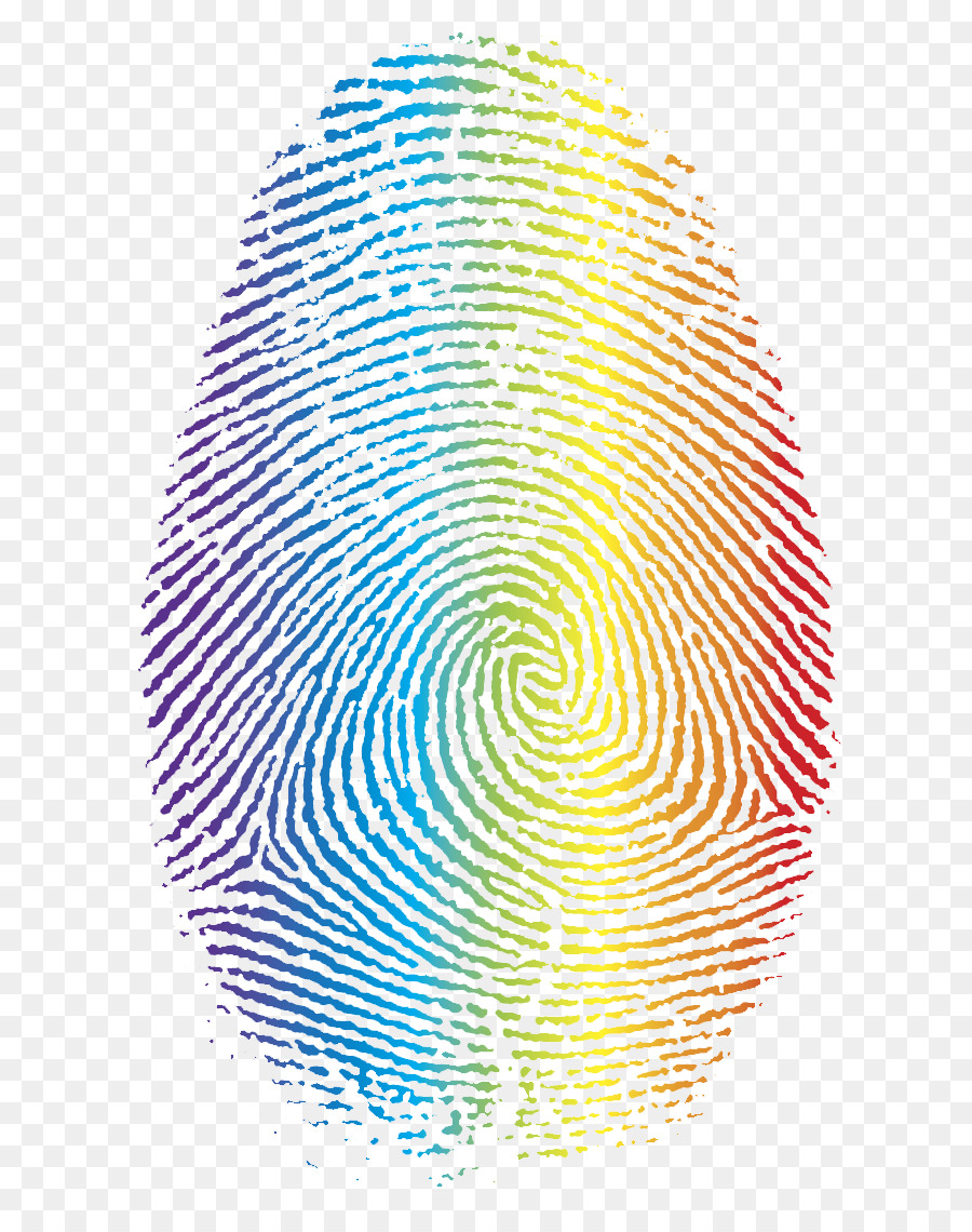 Fingerprint Clip art - Corlorful png download - 784*1133 - Free Transparent Fingerprint png Download.