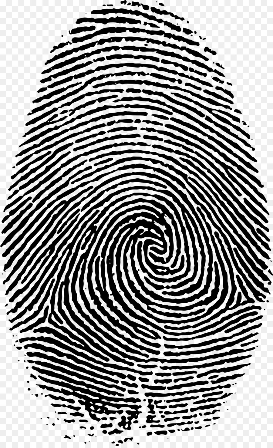 Fingerprint Live scan - big png download - 1418*2322 - Free Transparent Fingerprint png Download.