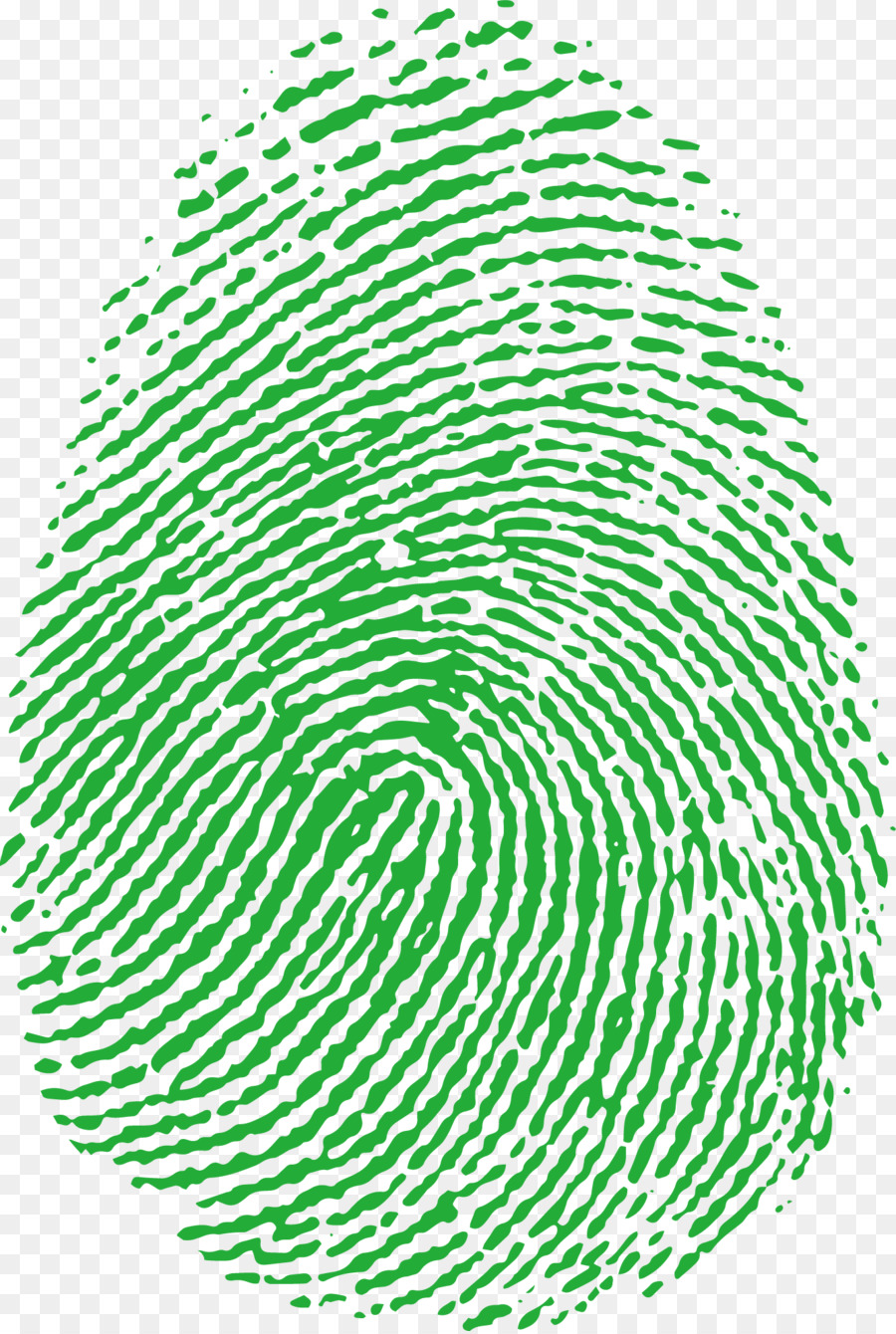 Fingerprint Image scanner - Fingerprint elements png download - 1334*1982 - Free Transparent Fingerprint png Download.