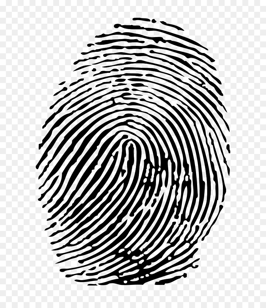 Fingerprint - fingerprint png download - 768*1024 - Free Transparent Fingerprint png Download.