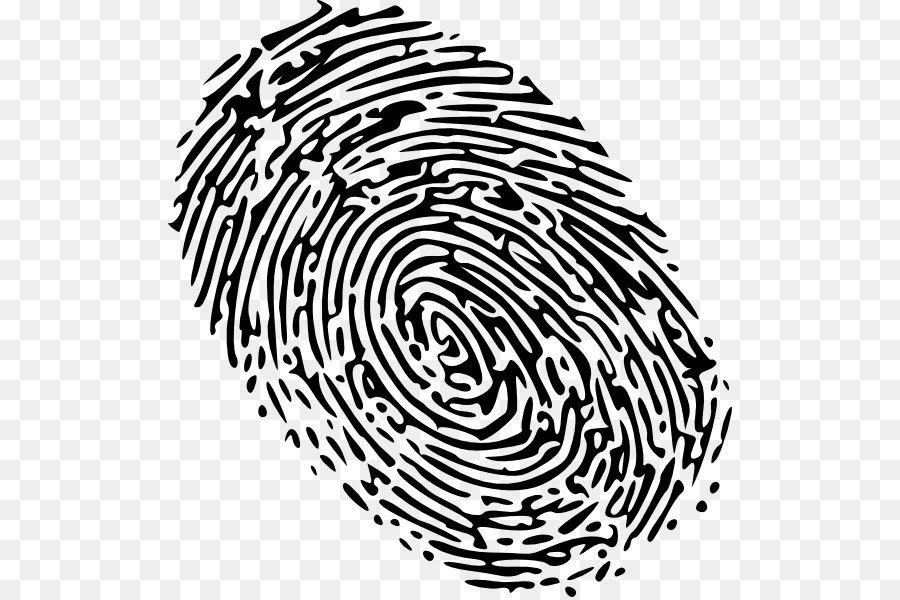 Fingerprint Clip art - Fingerprint Png Picture png download - 564*597 - Free Transparent Fingerprint png Download.