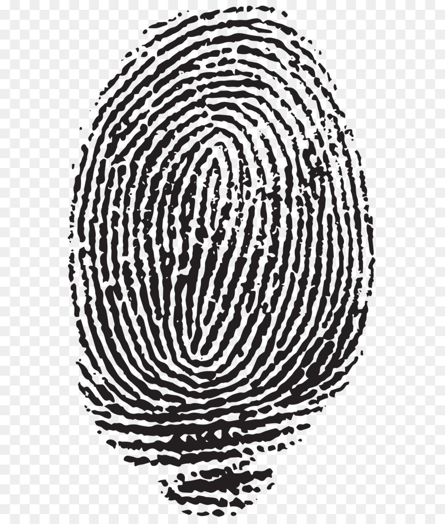 Fingerprint Hallongrotta Clip art - Fingerprint PNG Clip Art Image png download - 4919*8000 - Free Transparent Fingerprint png Download.