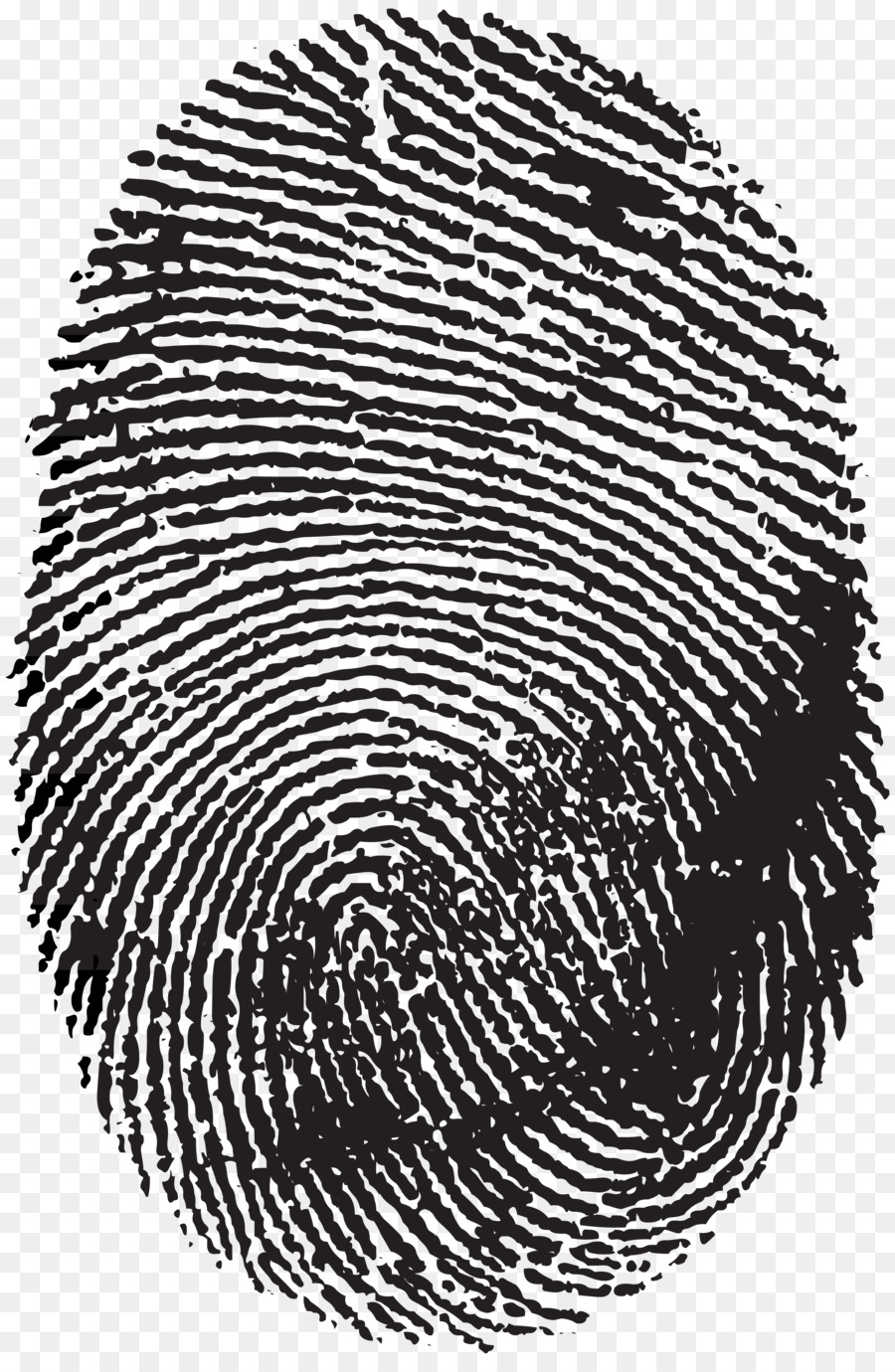Fingerprint Image scanner Clip art - rose petals png download - 4597*7000 - Free Transparent Fingerprint png Download.