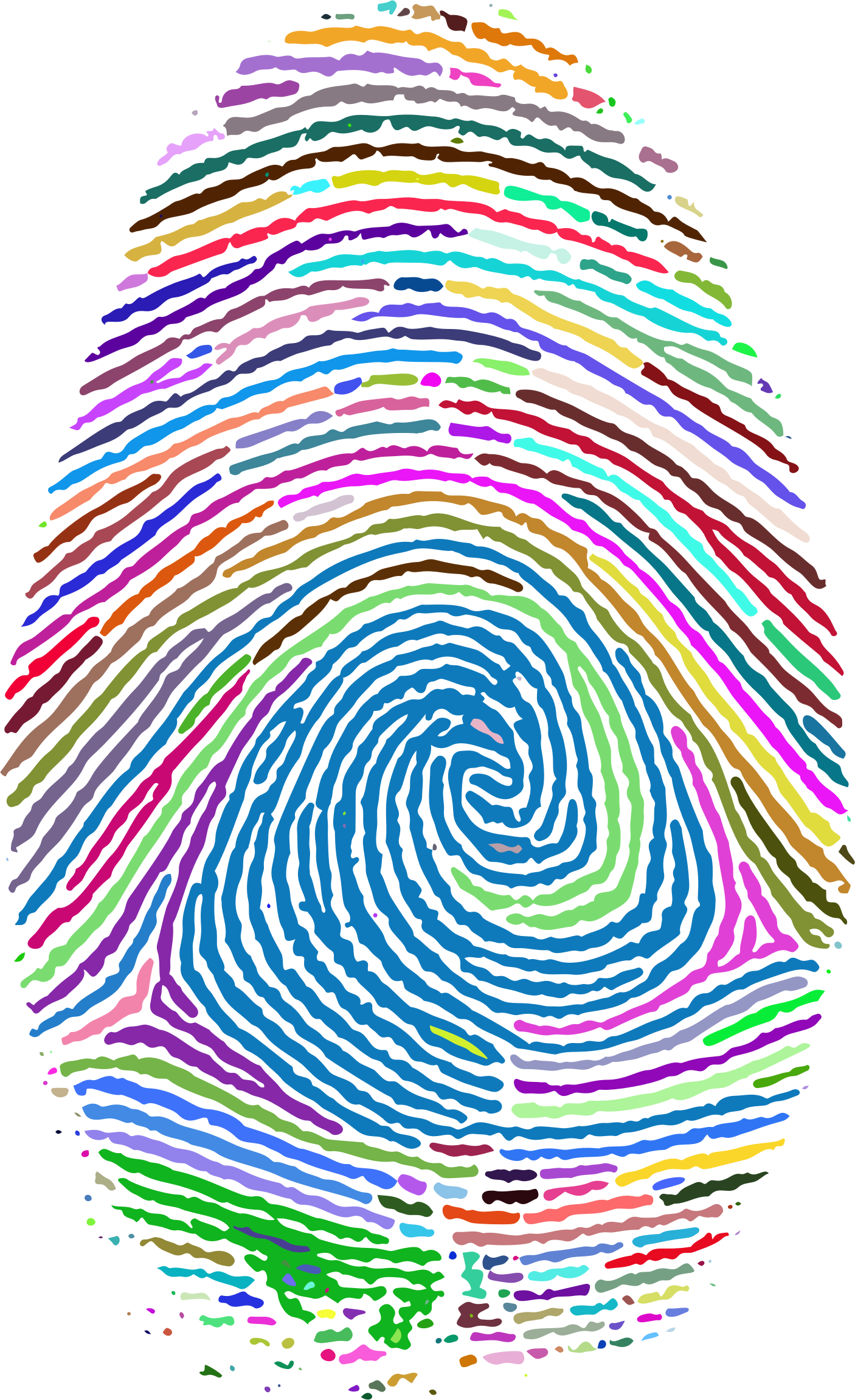 Fingerprint Footprint Clip art - finger print png download - 1406*2302