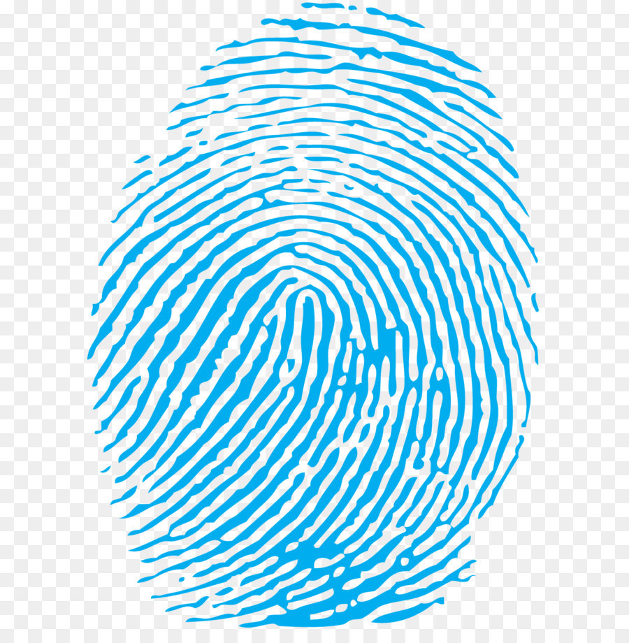 Fingerprint Clip art - Fingerprint Png png download - 1000*1388 - Free Transparent Fingerprint png Download.
