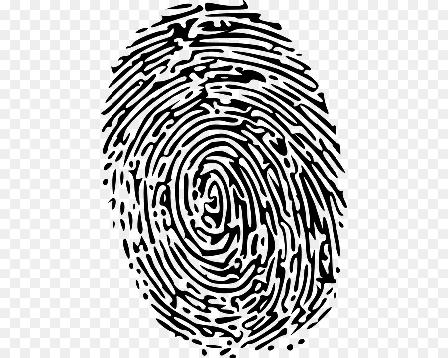 Fingerprint Green Clip art - others png download - 494*720 - Free Transparent Fingerprint png Download.