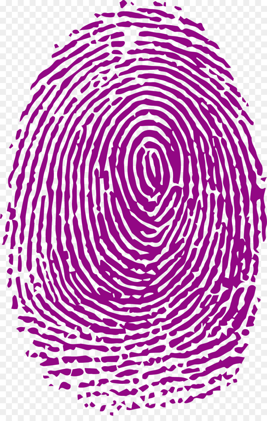 Fingerprint Forensic science Analysis - Purple fingerprints png download - 1207*1881 - Free Transparent Fingerprint png Download.