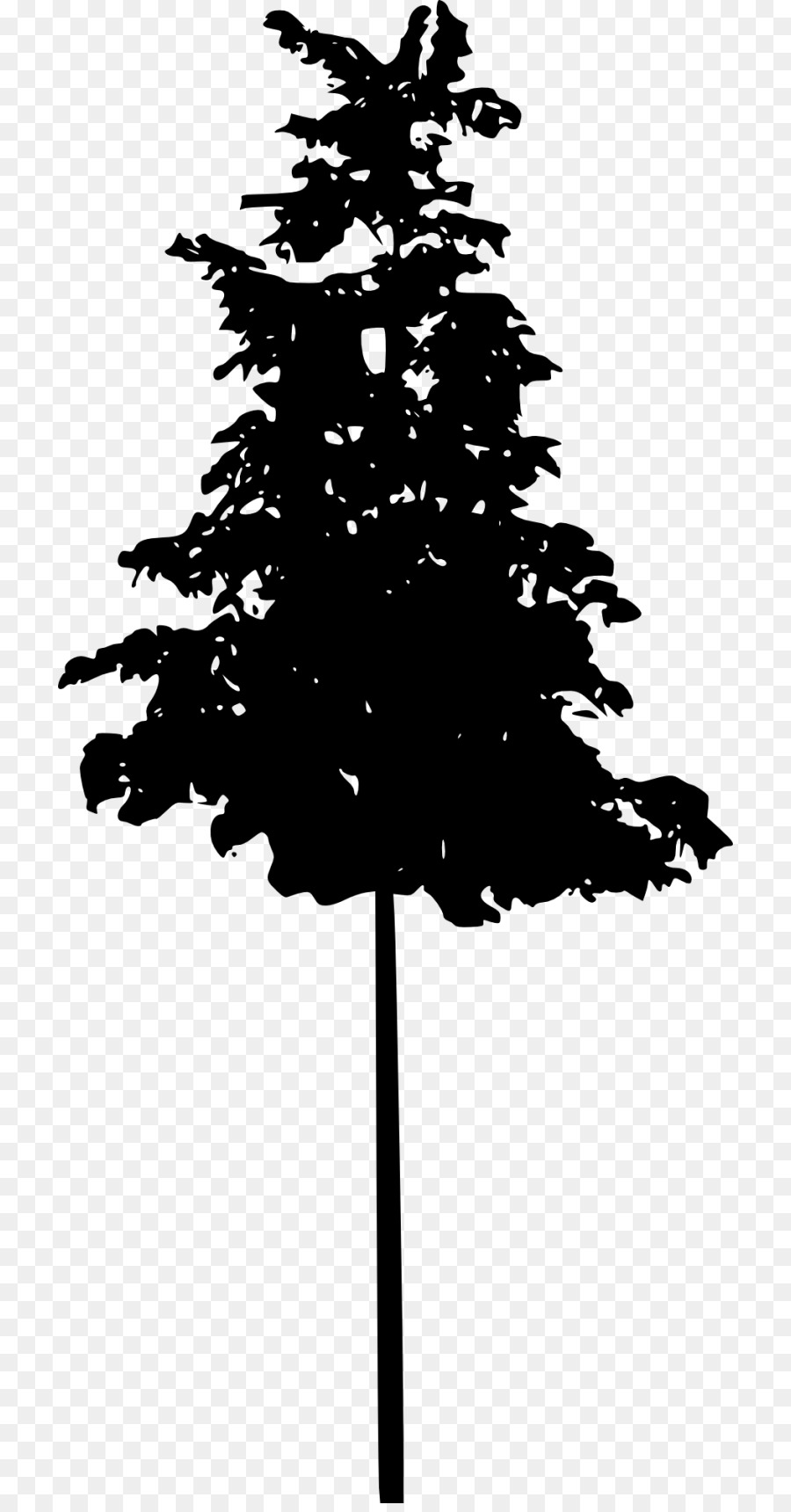 Pine Tree Spruce Conifers - tree silhouette png download - 768*1710 - Free Transparent Pine png Download.