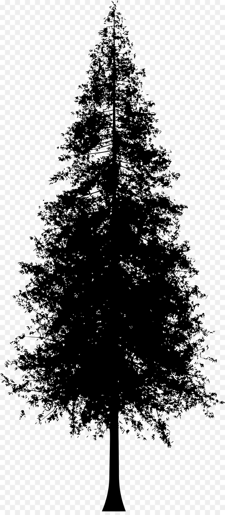 Redwoods Silhouette Coast redwood Clip art - pine tree png download - 1010*2296 - Free Transparent Redwoods png Download.