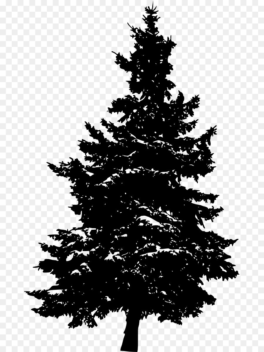 Pine Silhouette Fir Tree - pine tree png download - 735*1200 - Free Transparent Pine png Download.