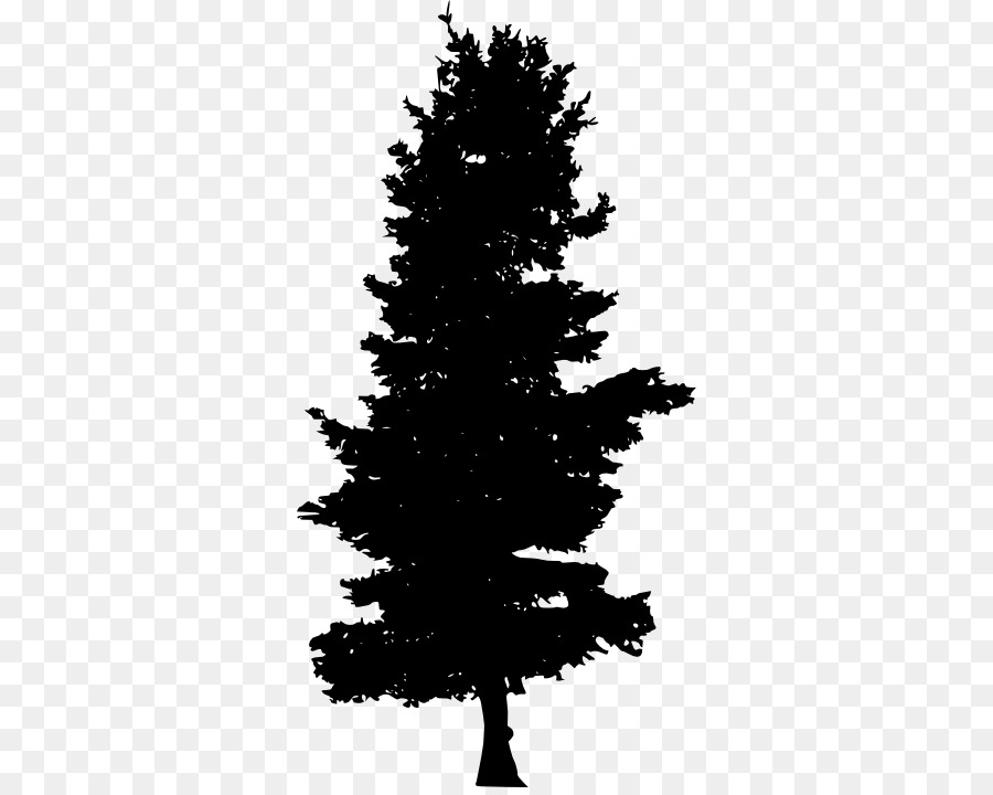 Spruce Pine Fir Evergreen - Pine tree Silhouette png download - 362*713 - Free Transparent Spruce png Download.