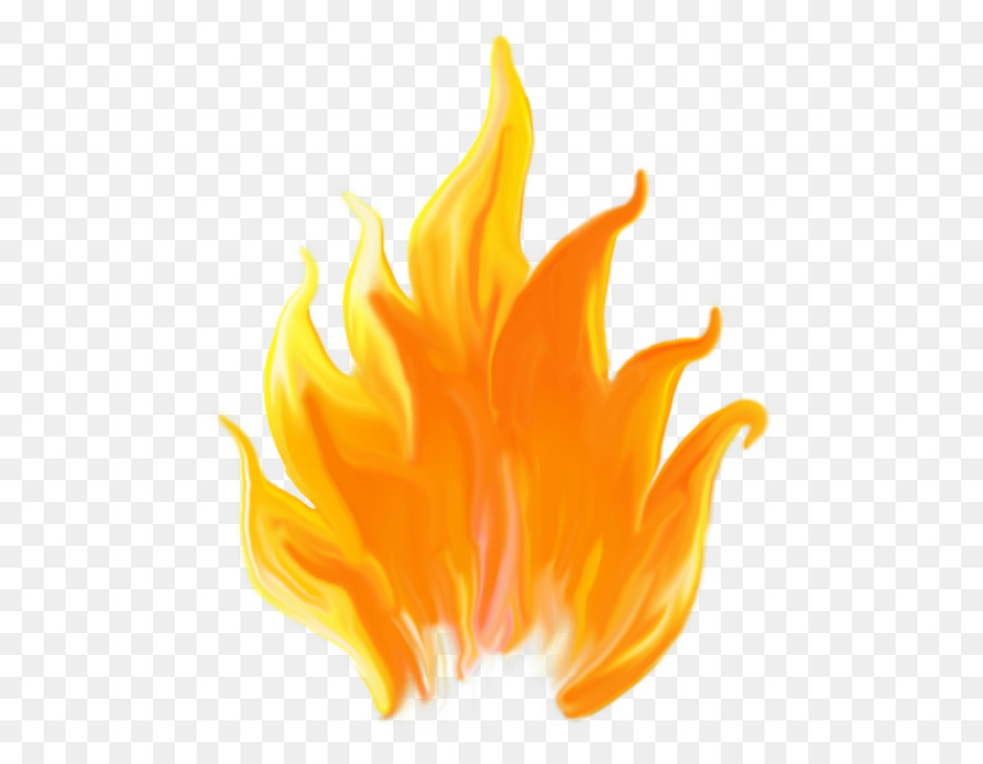 Flame Fire Blog Clip art - flame png download - 609*699 - Free Transparent Flame png Download.