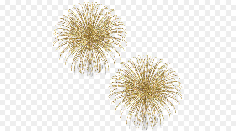 New Year Fireworks Encapsulated PostScript - others png download - 500*500 - Free Transparent New Year png Download.