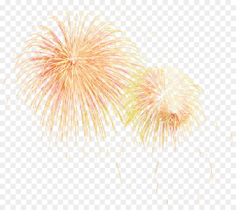 Fireworks Clip art - Fireworks Logo png download - 3900*4000 - Free