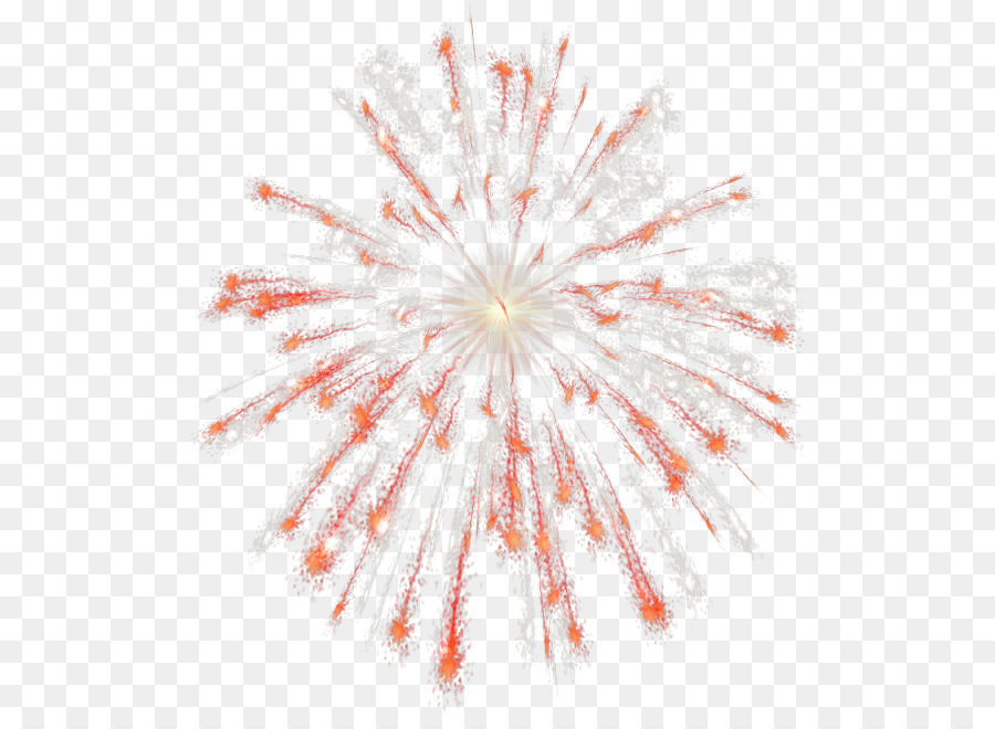 Fireworks Independence Day Clip art - Fireworks Background png download - 559*646 - Free Transparent Fireworks png Download.