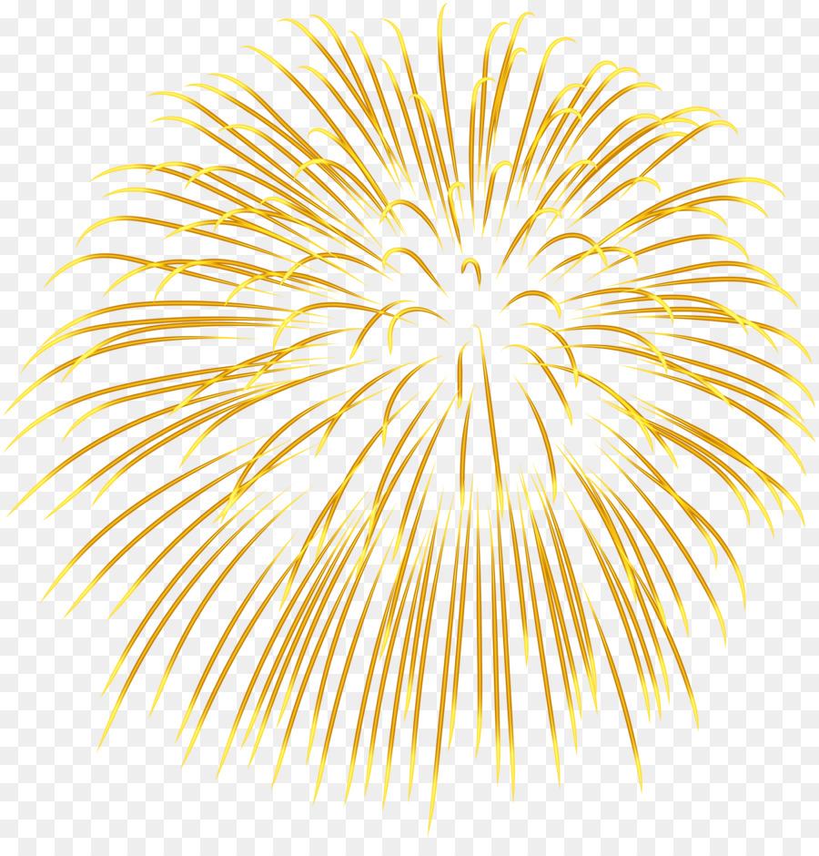 Fireworks Clip art - Fireworks Logo png download - 3900*4000 - Free Transparent Fireworks png Download.