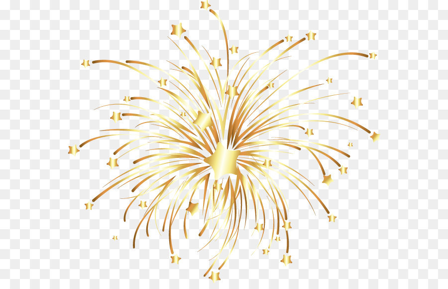 Fireworks Euclidean vector - Vector golden fireworks png download - 628*569 - Free Transparent Fireworks ai,png Download.