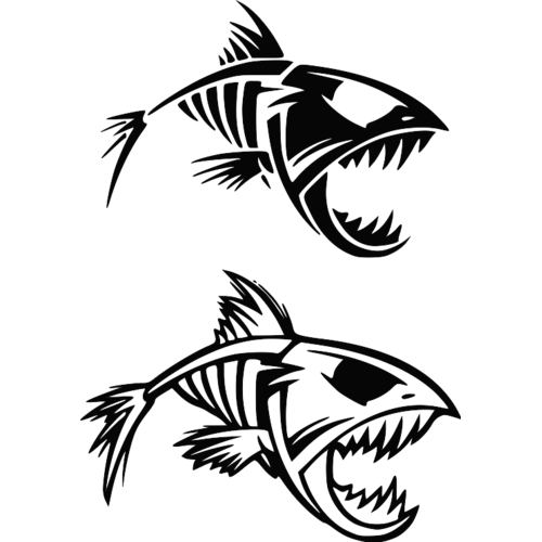 Skeleton Fish bone Piranha - Skeleton png download - 500*500 - Free