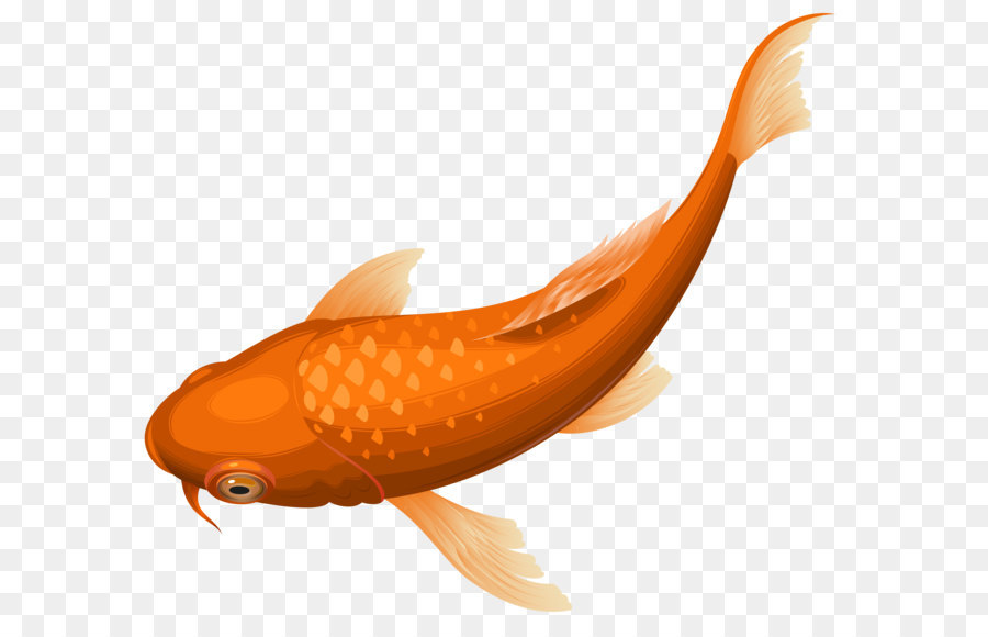 Koi Goldfish Clip art - Orange Koi Fish Transparent Clip Art PNG Image png download - 8000*7007 - Free Transparent Koi png Download.