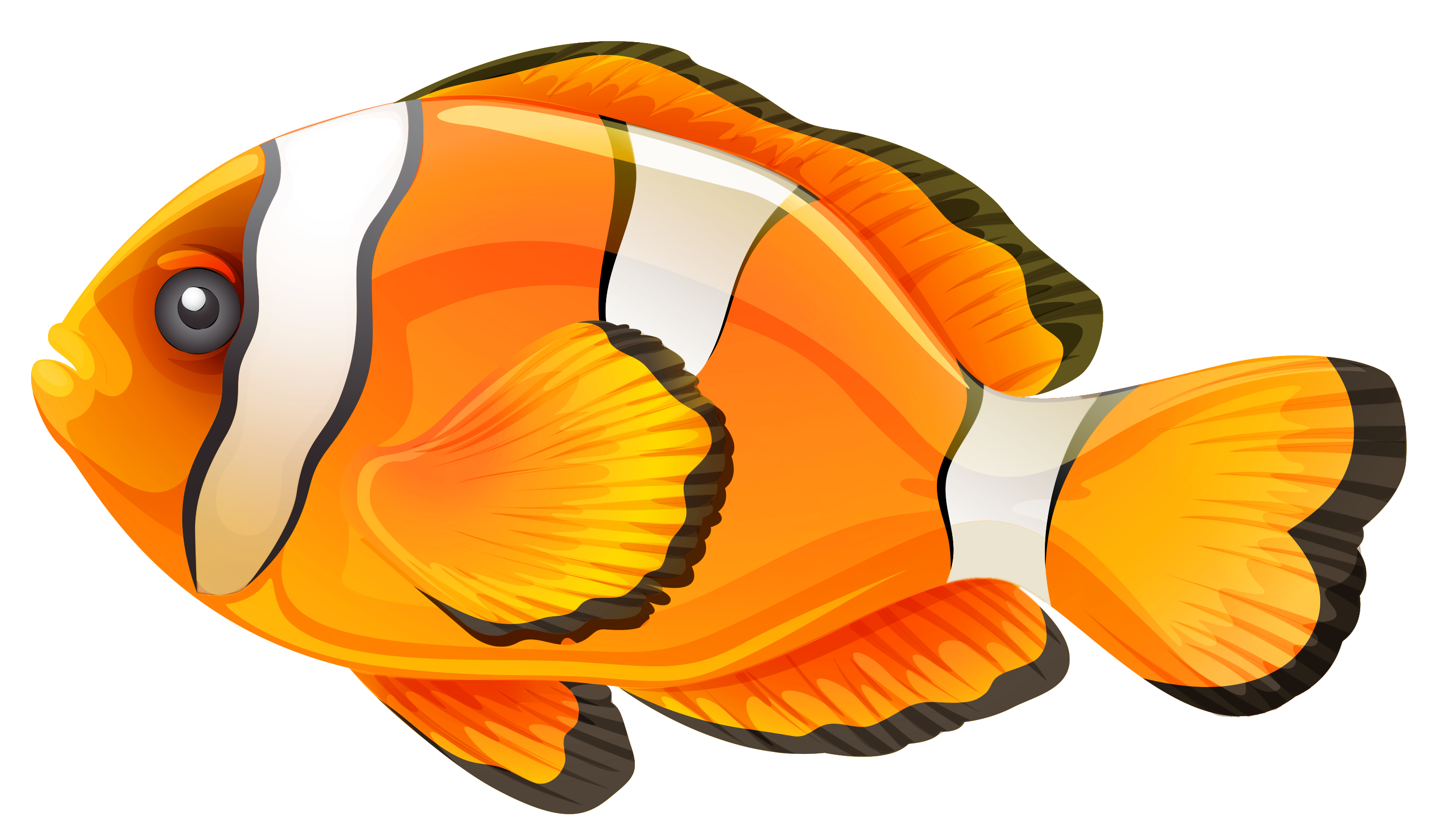 clipart fish  - photo #41