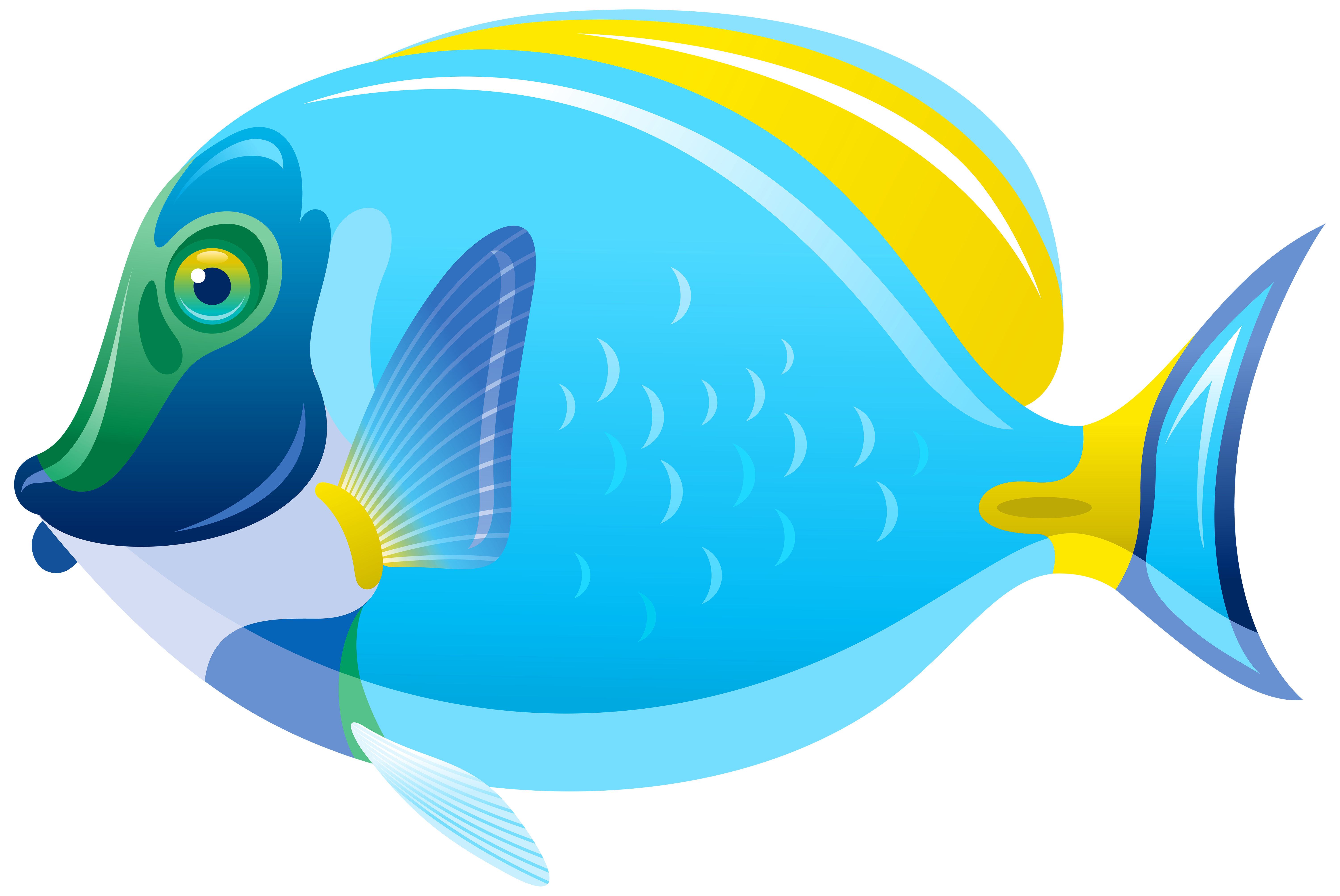Saltwater fish Clip art fish png download 6000*4012 Free