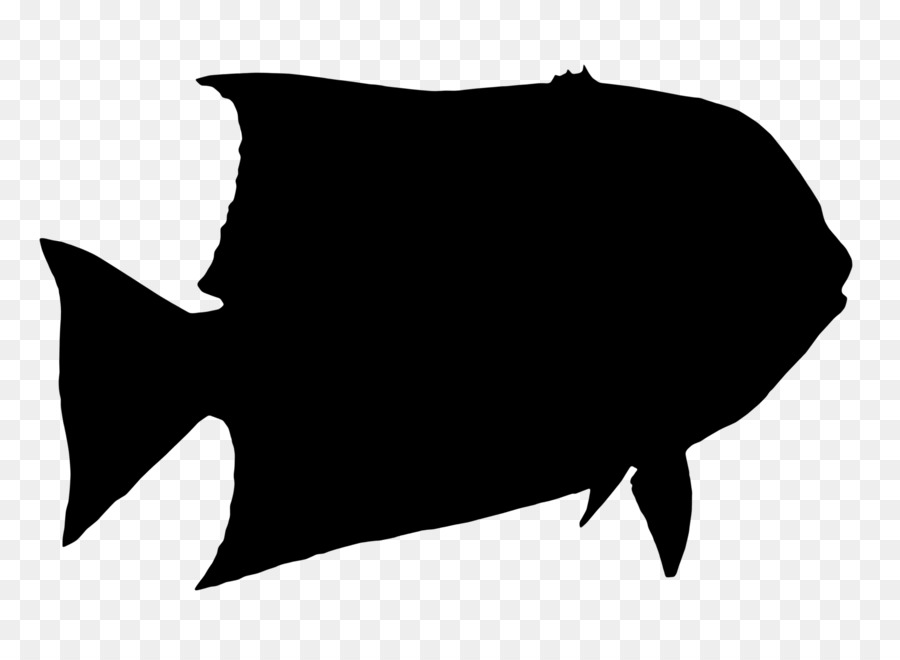 Black & White - M Clip art Fish Silhouette Cystic fibrosis -  png download - 1900*1385 - Free Transparent Black  White  M png Download.