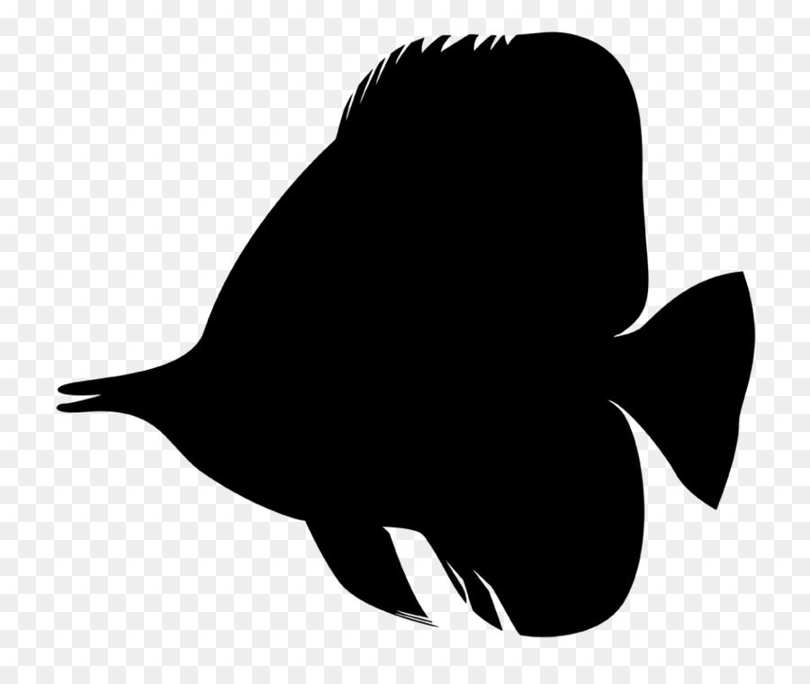 Beak Clip art Fauna Silhouette Fish -  png download - 950*792 - Free Transparent Beak png Download.