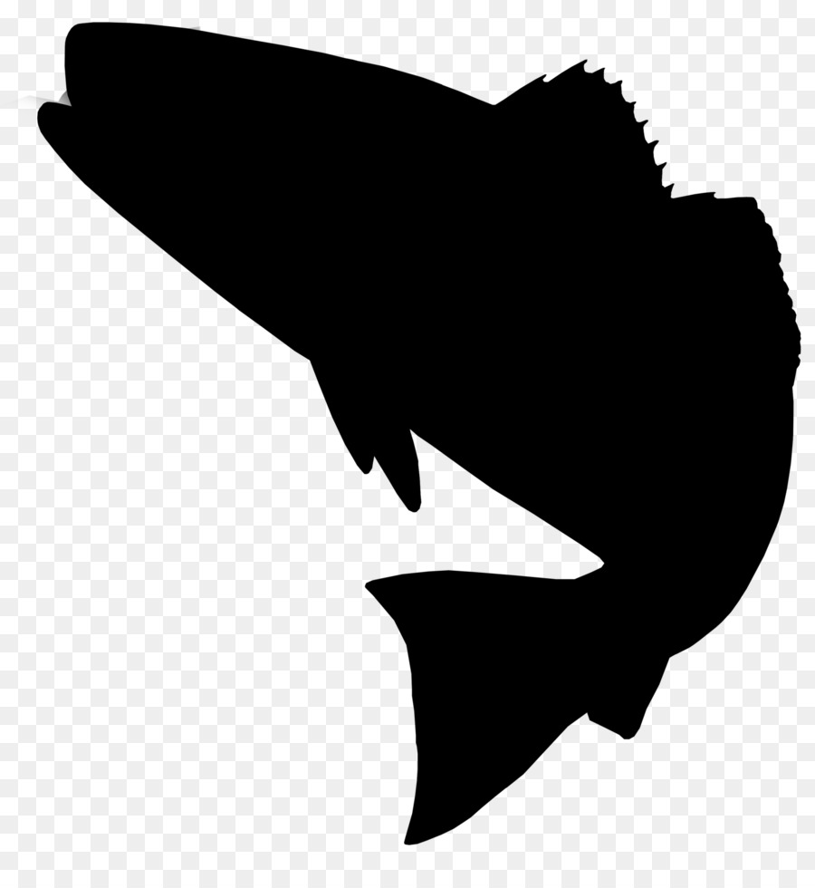 Clip art Red drum Fishing Silhouette Image -  png download - 1901*2048 - Free Transparent Red Drum png Download.