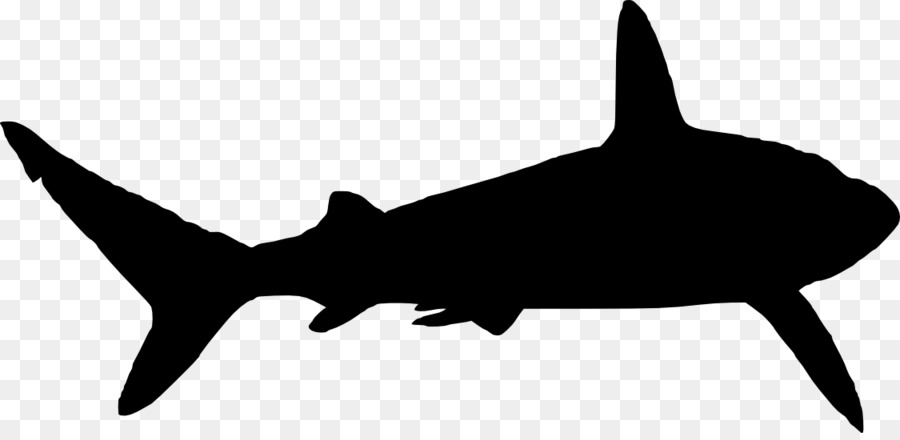 Shark Portable Network Graphics Clip art Vector graphics Silhouette - shark logo png download - 1125*541 - Free Transparent Shark png Download.