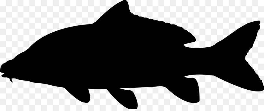 Silhouette Clip art Vector graphics Illustration - bass silhouette png bass fish png download - 1036*430 - Free Transparent Silhouette png Download.