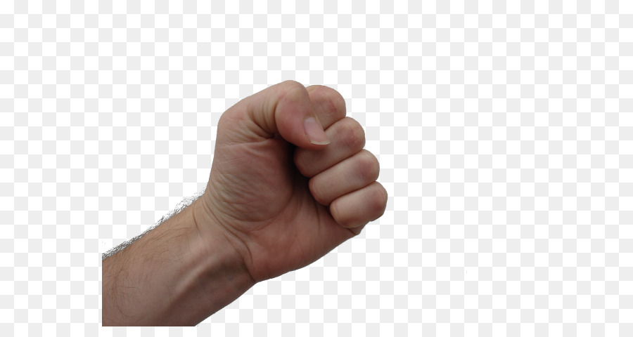 Raised fist Portable Network Graphics Clip art Transparency - make a fist png download - 610*465 - Free Transparent Fist png Download.