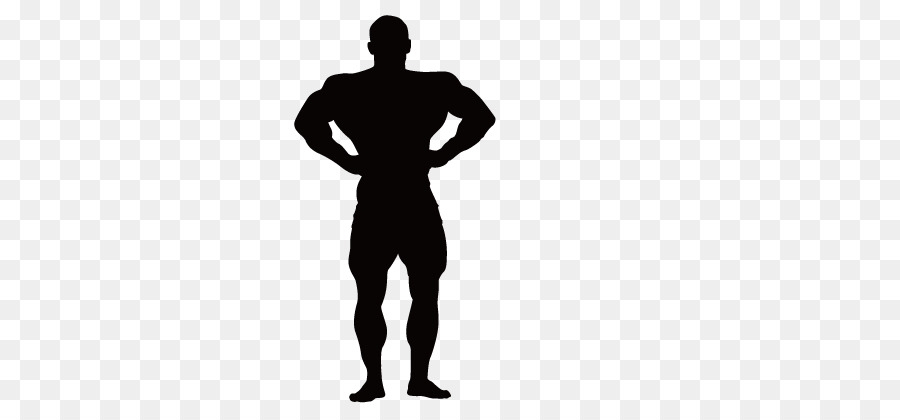 Bodybuilding Silhouette Muscle Physical fitness - Fitness silhouette figures png download - 721*406 - Free Transparent Bodybuilding png Download.