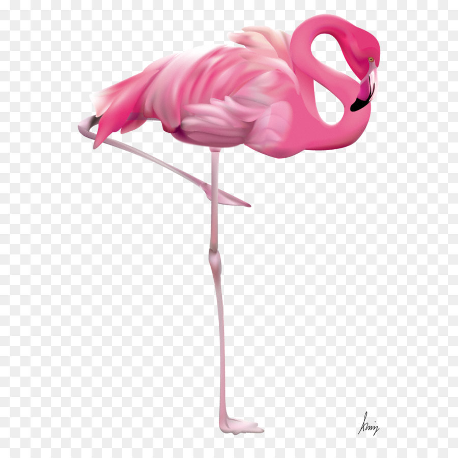 Clip art - Flamingo Transparent png download - 767*1041 - Free Transparent Flamingo png Download.