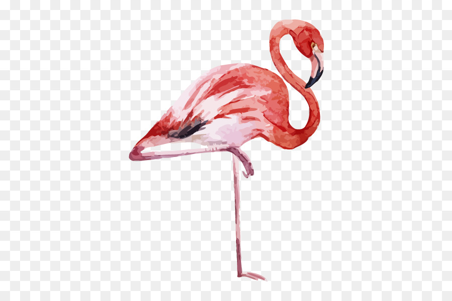 Flamingo Printing Canvas print Printmaking - flamingo png download - 600*600 - Free Transparent Flamingo png Download.