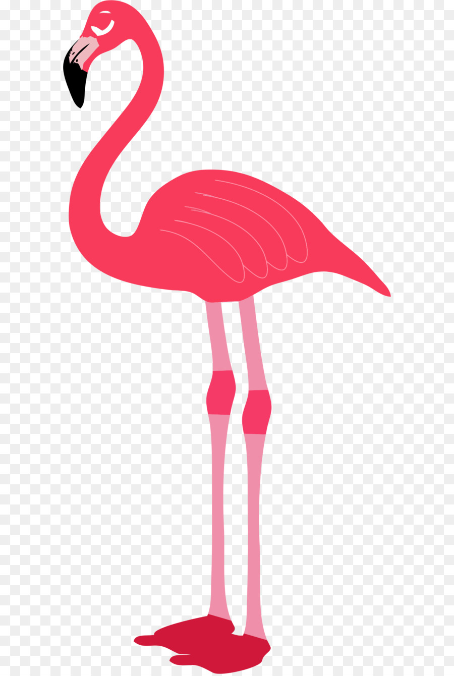 Flamingos Download Computer file - Flamingo PNG png download - 1098*2256 - Free Transparent Flamingo png Download.