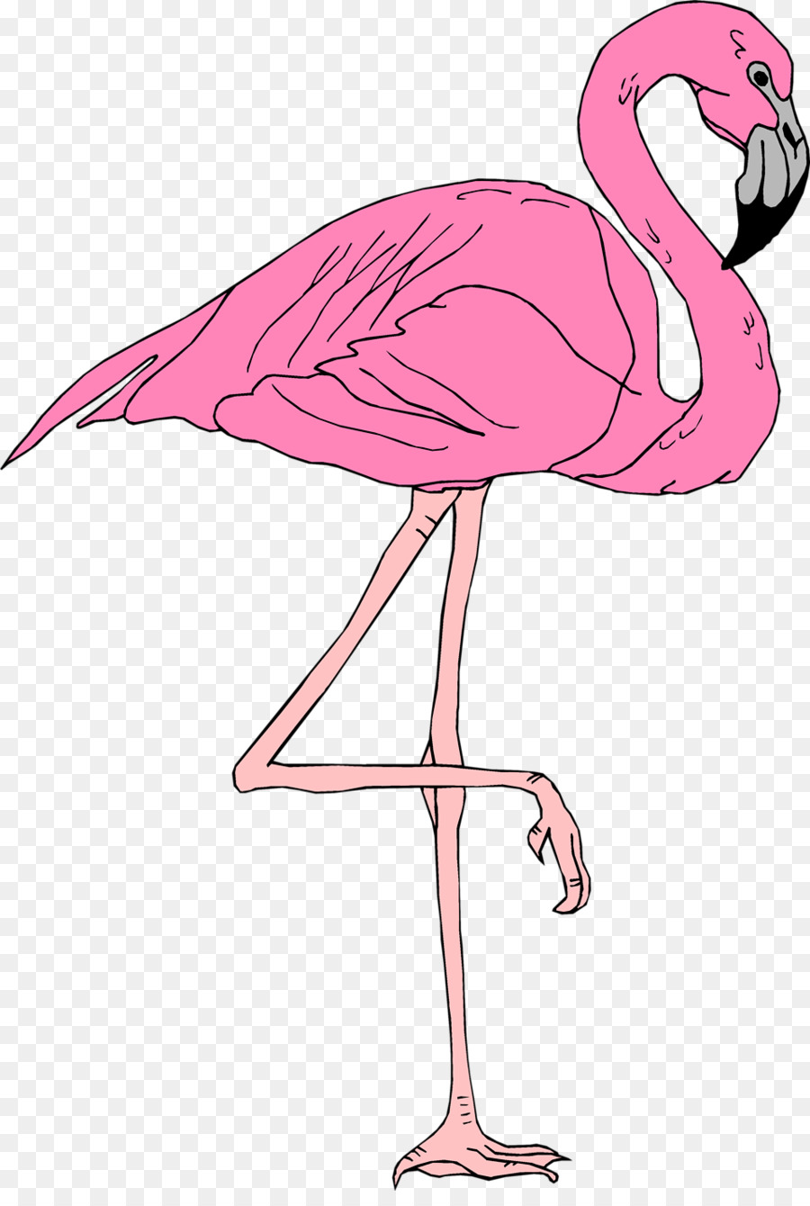 Flamingo Clip art - flamingo png download - 958*1408 - Free Transparent Flamingo png Download.