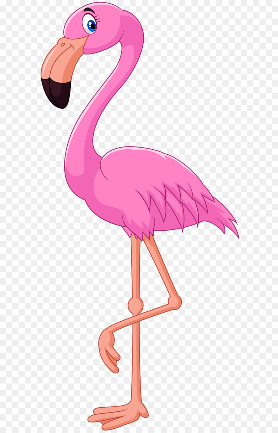 Cartoon Flamingo Bird Illustration - Flamingo PNG png download - 1165*2500 - Free Transparent Flamingo png Download.