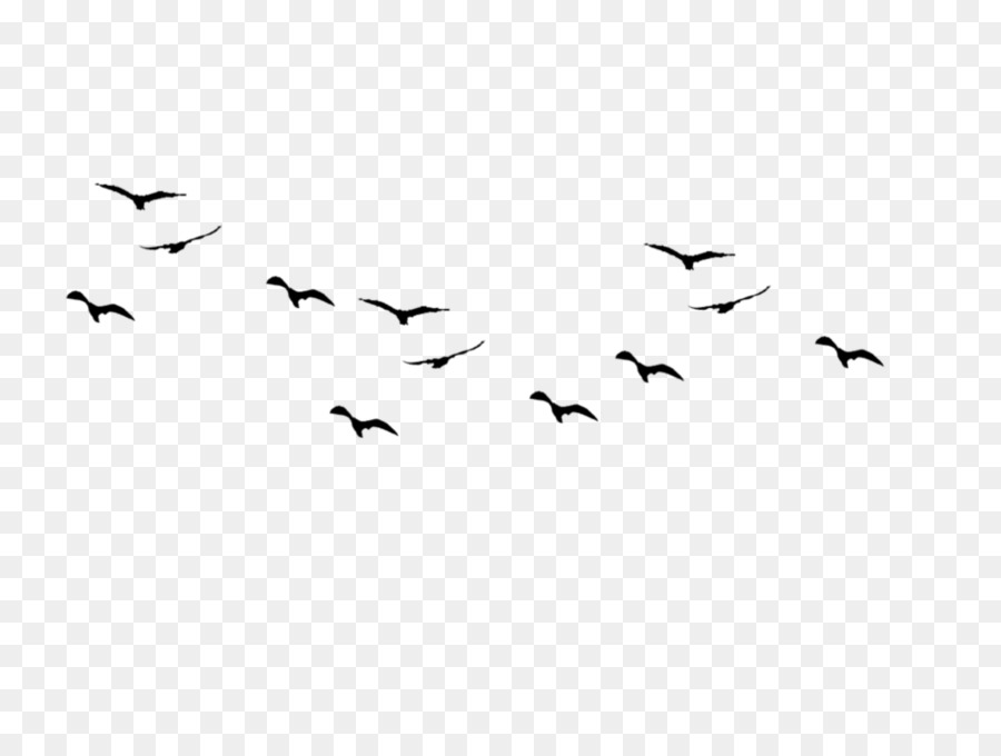 Bird flight Flock Clip art - Bird png download - 1024*769 - Free Transparent Bird png Download.