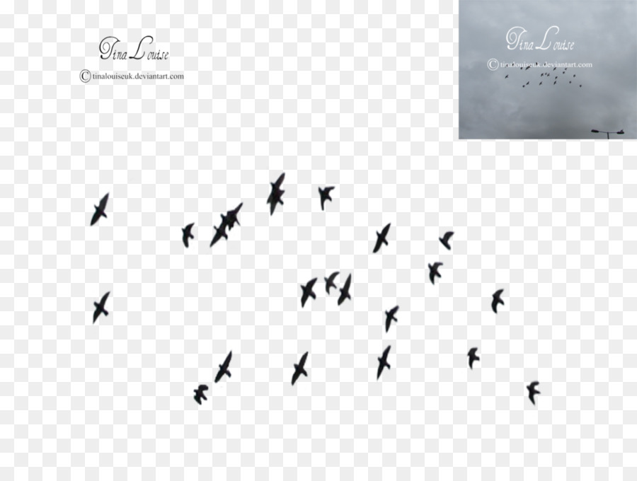Bird Flock Clip art - flock of birds png download - 1024*768 - Free Transparent Bird png Download.